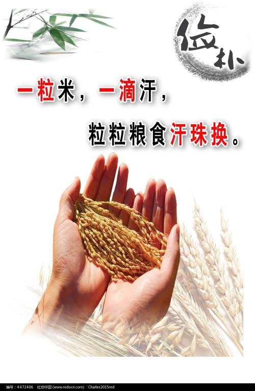 怎么买假的日本京都工藝纖維大學学位证